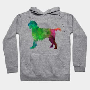 Wirehaired Pointing Griffon Korthals in watercolor Hoodie